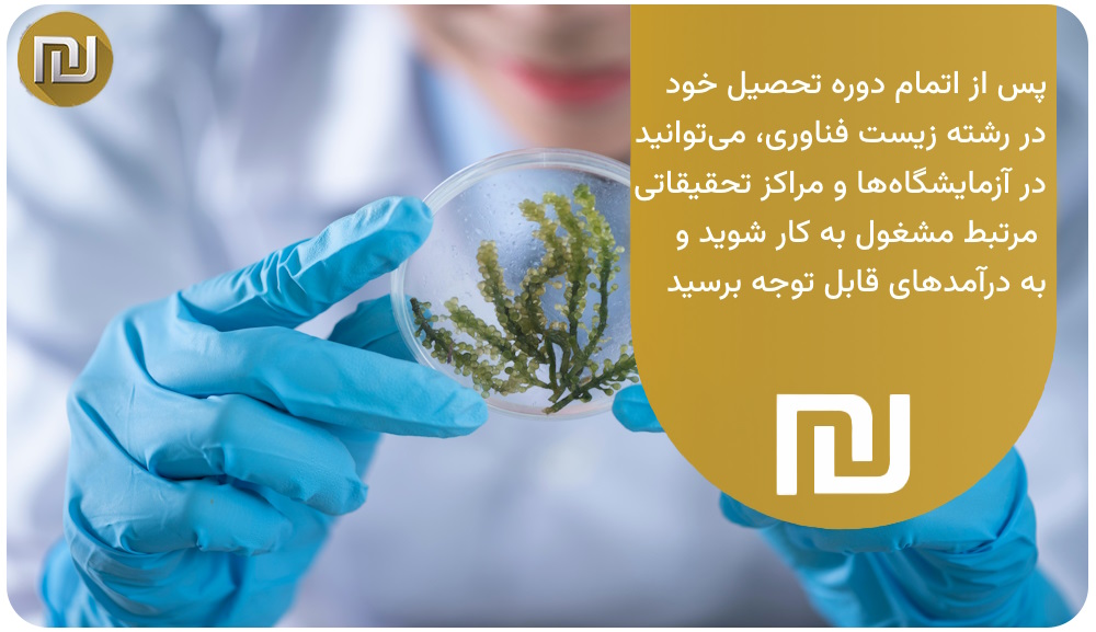 بازار کار رشته زیست فناوری چه‌گونه است؟